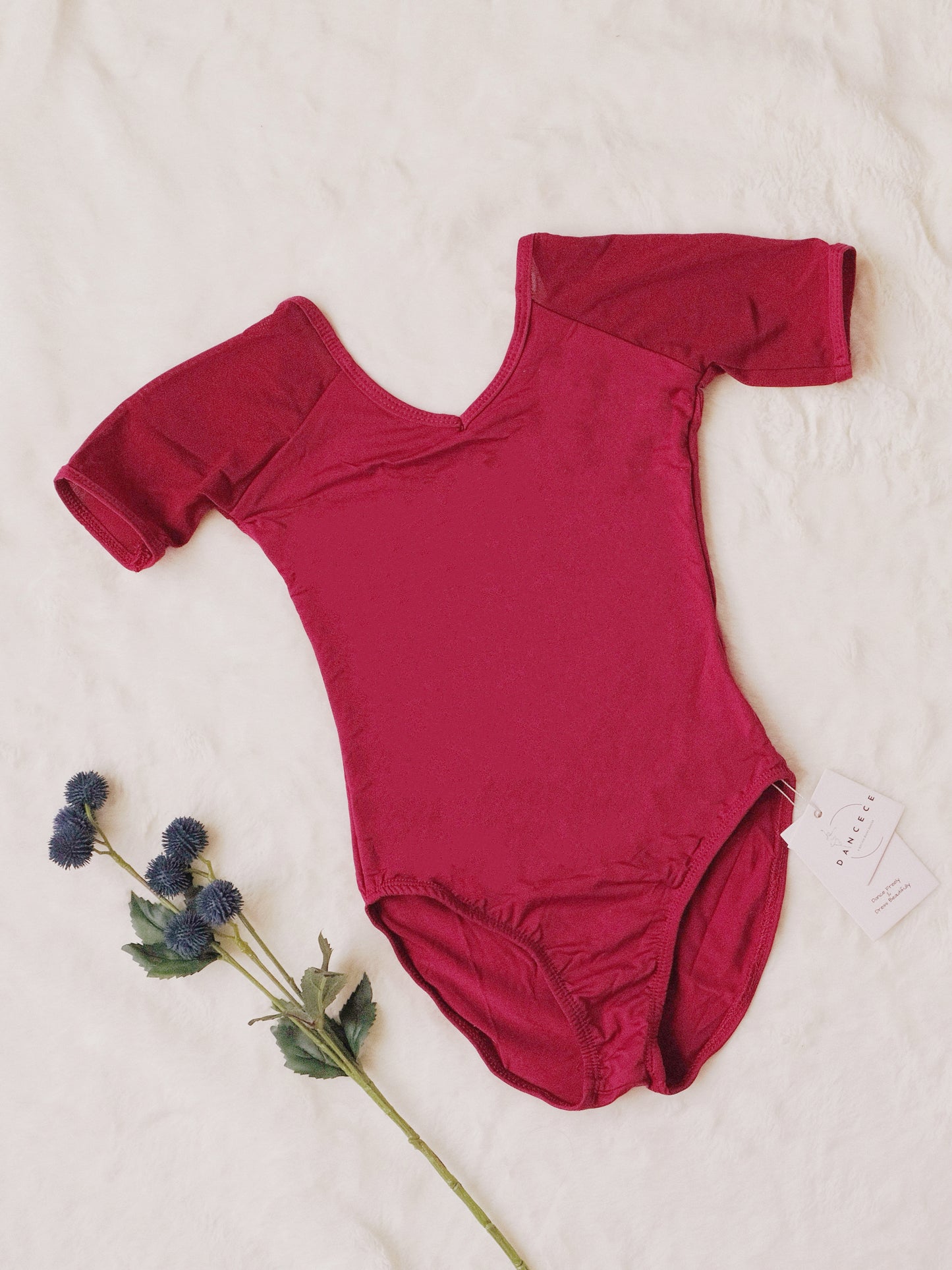 Mesh Paneling Dance Leotard (Subtle Charm 23n0004)Wine Red