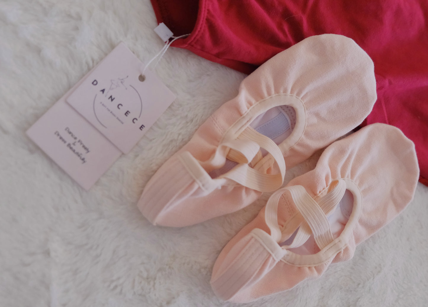 Professional Ballet Shoes