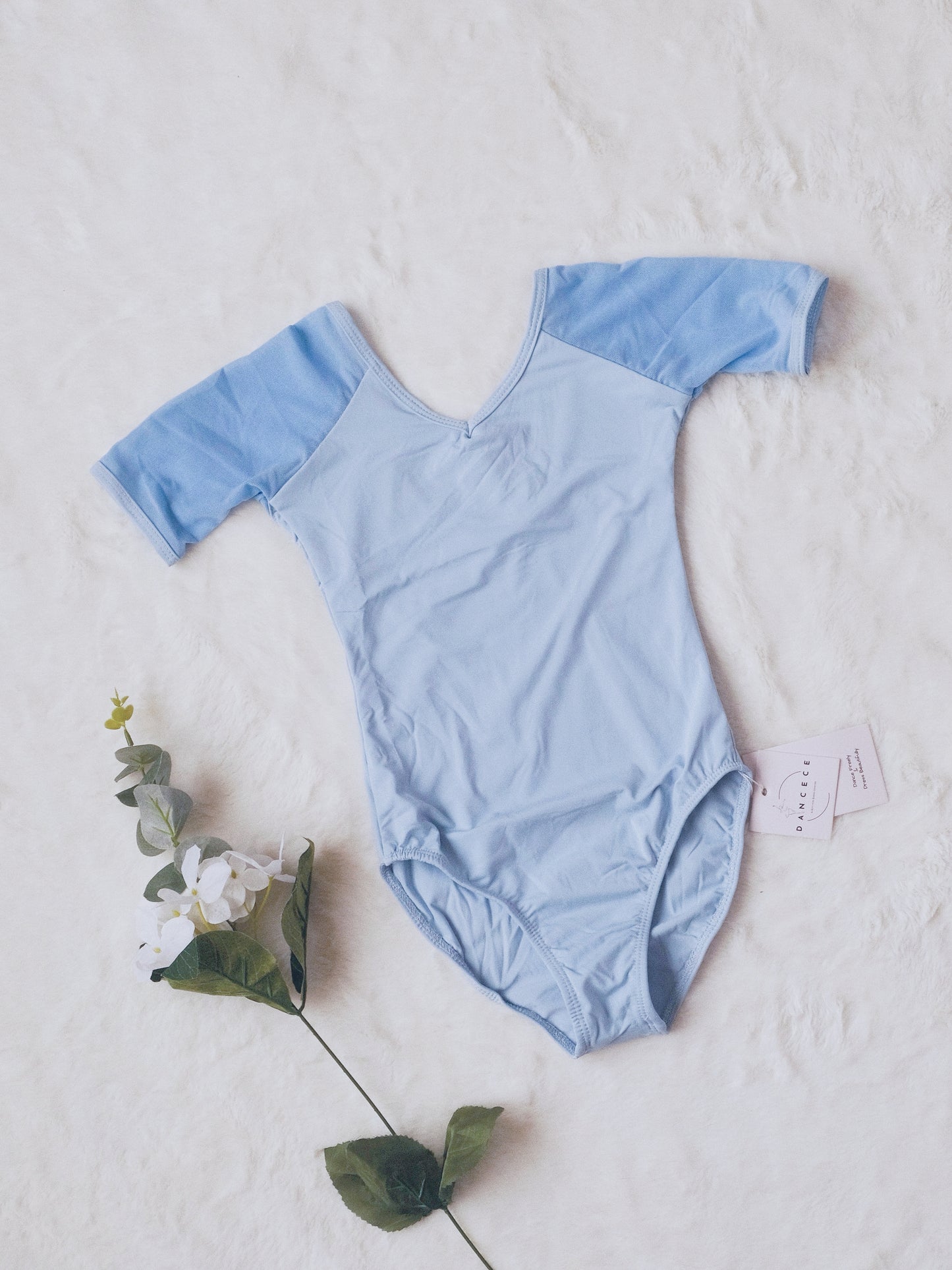 Mesh Paneling Dance Leotard (Subtle Charm 23n0004)Sky Blue