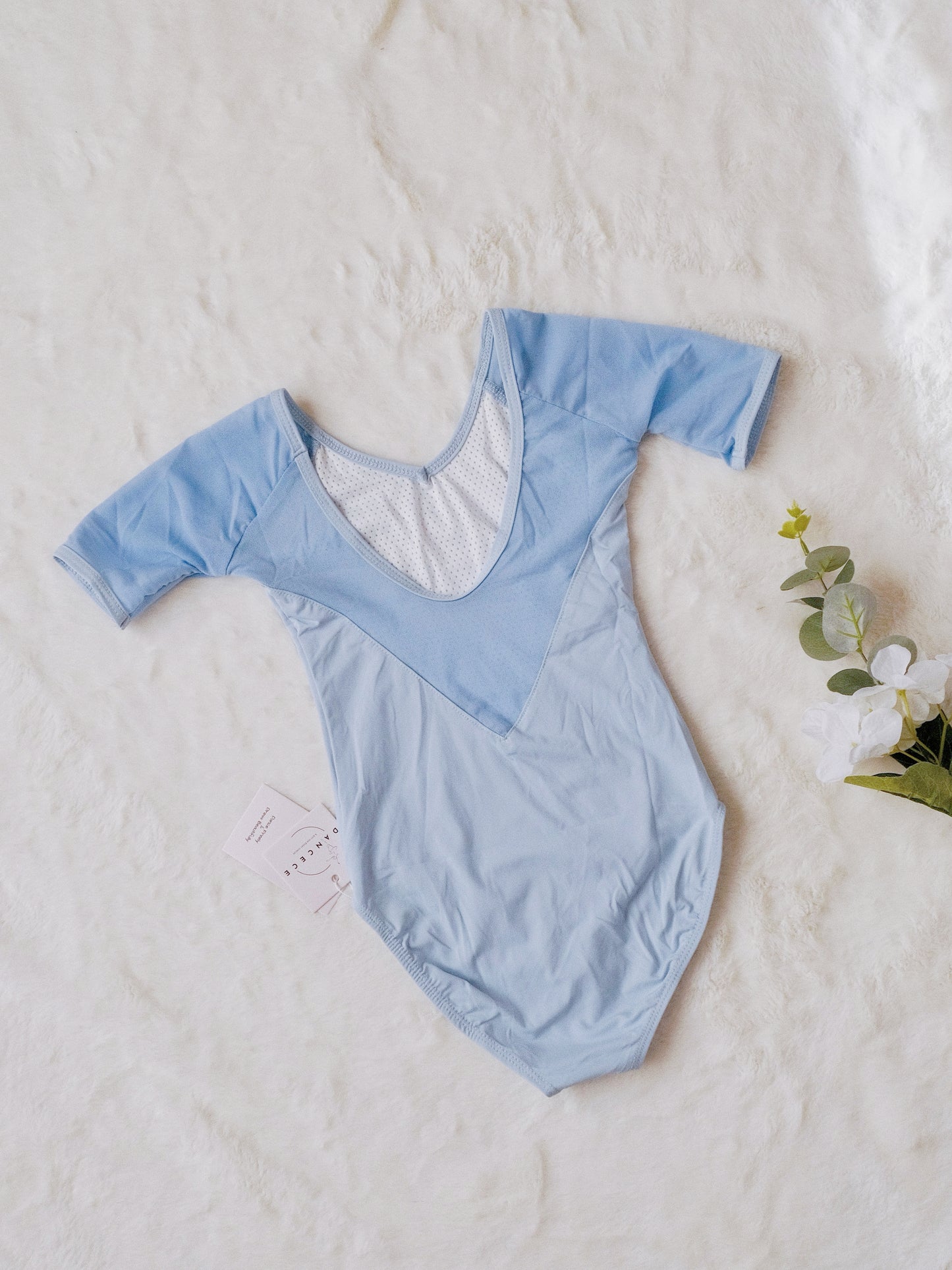 Mesh Paneling Dance Leotard (Subtle Charm 23n0004)Sky Blue