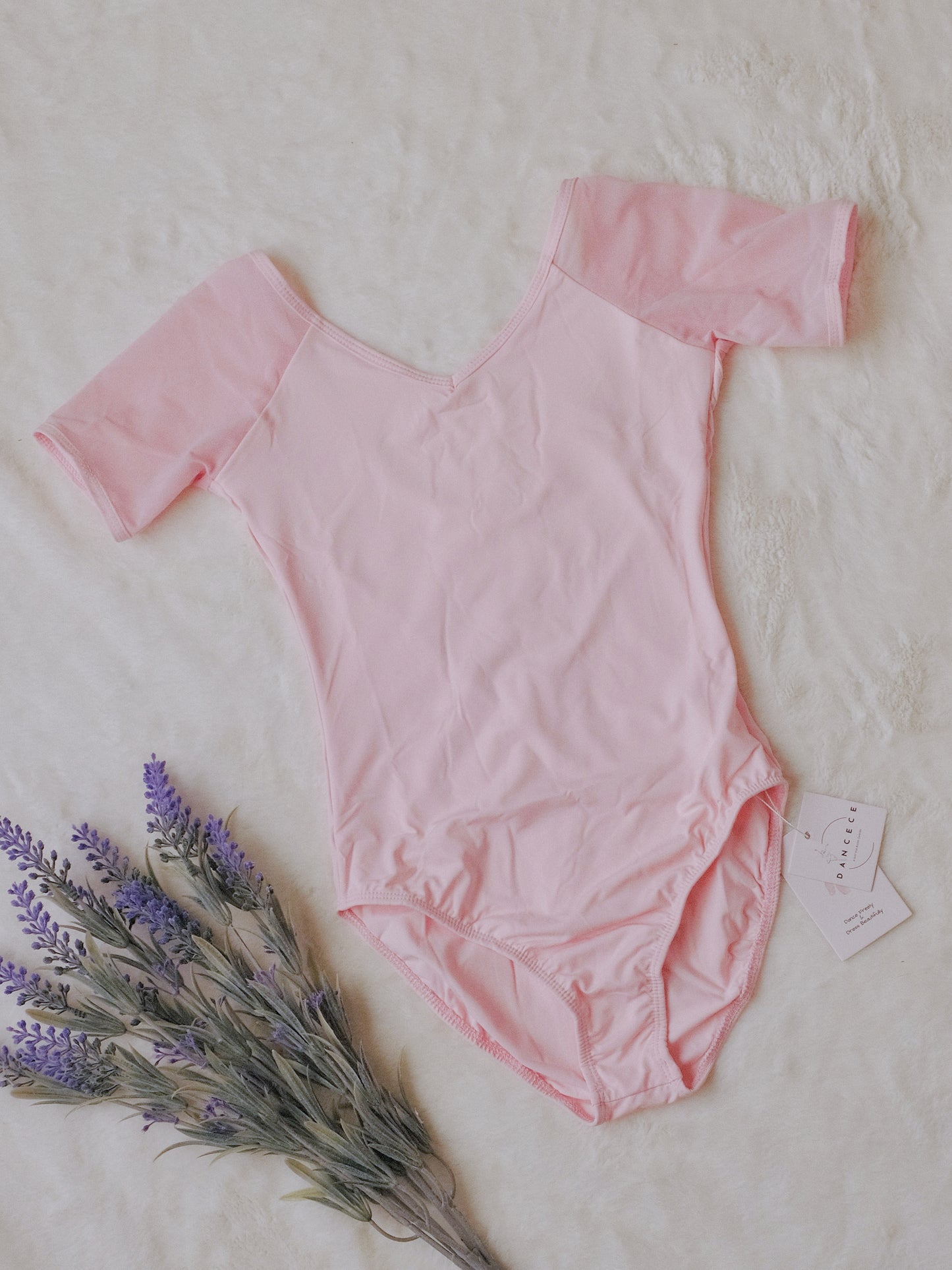 Mesh Paneling Dance Leotard (Subtle Charm 23n0004)Shell Pink