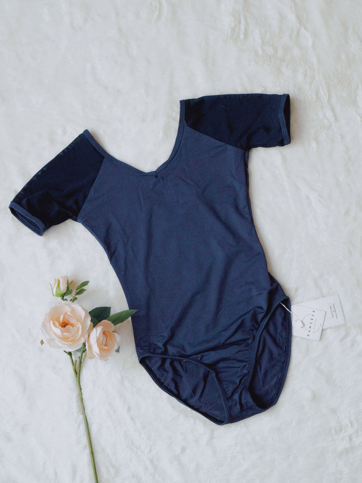 Mesh Paneling Dance Leotard (Subtle Charm 23n0004)Midnight Blue