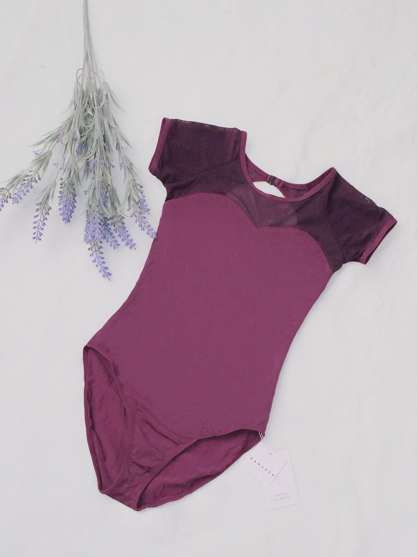 Open Back Dance Leotard (Subtle Charm 23n0002)Iris Purple